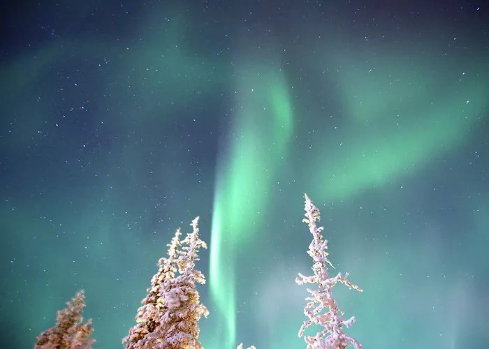 Javri فندق ساريسيلكا